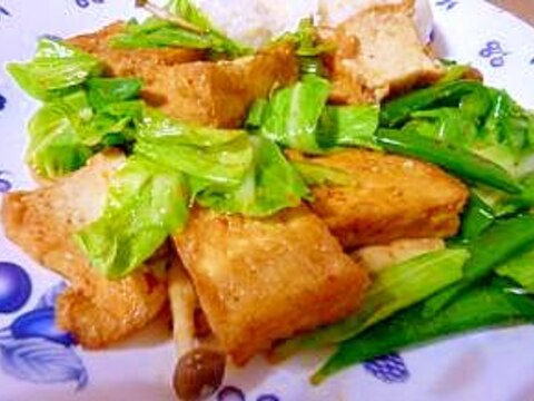 ベジタリアンの厚揚げと野菜の中華風炒め